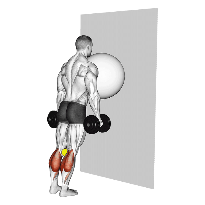 Demonstration of the exercise ball on the wall calf raise (tennis ball between knees)