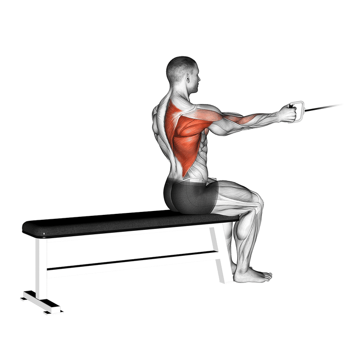 Demonstration of the cable seated one arm alternate row