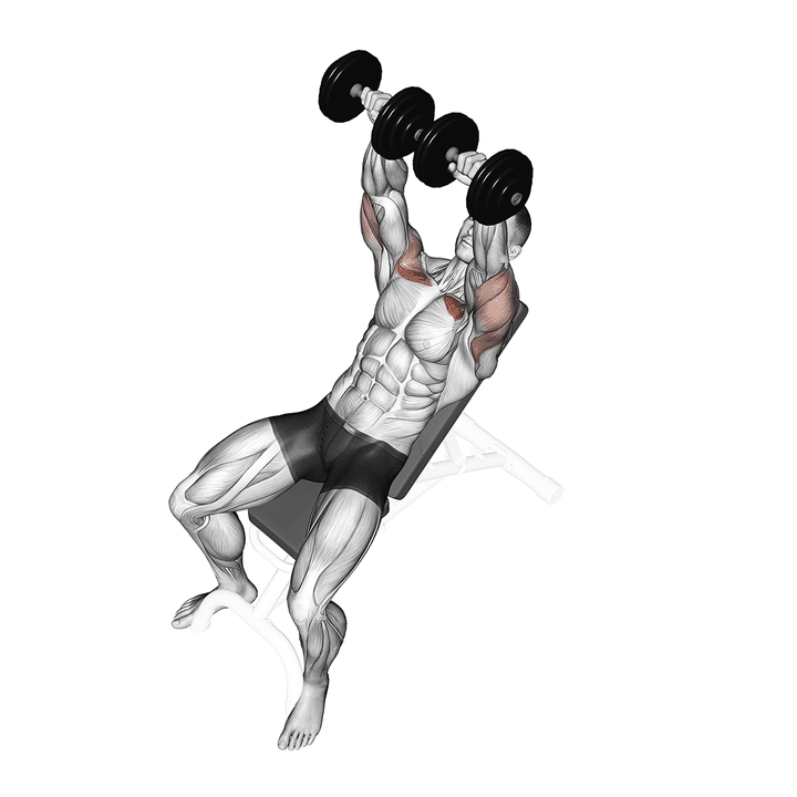 Demonstration of the dumbbell incline bench press