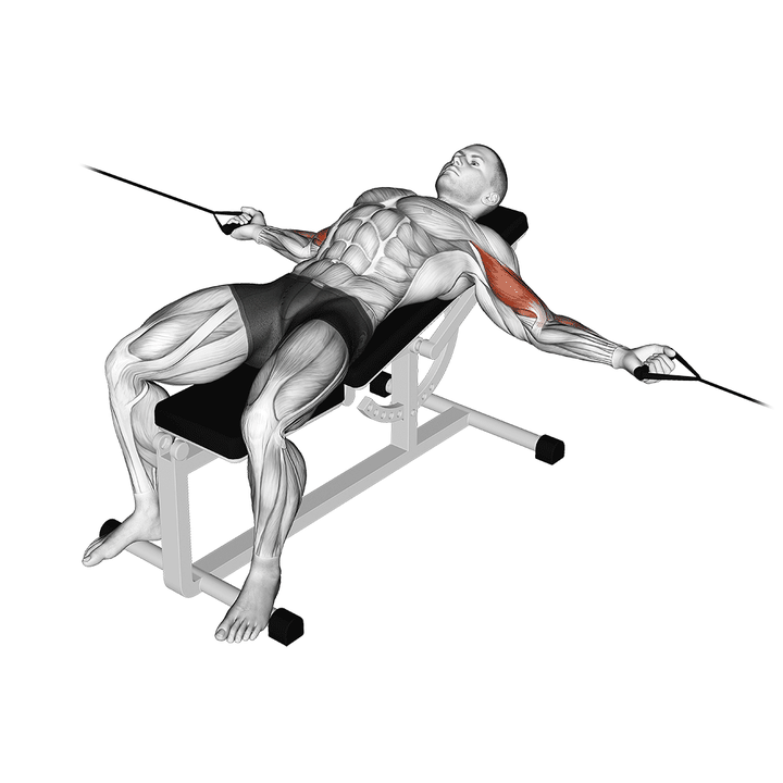 Demonstration of the cable two arm curl on incline bench