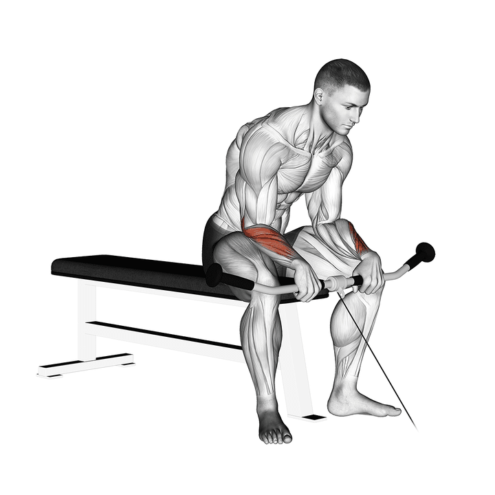 Demonstration of the cable reverse wrist curl