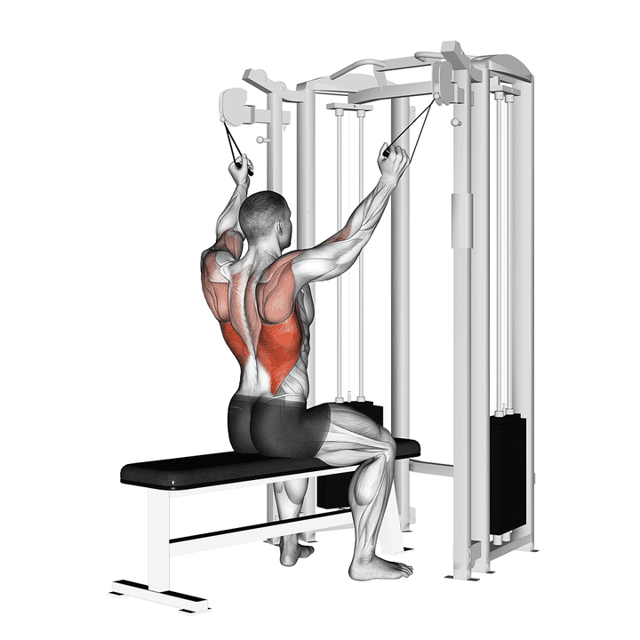 Demonstration of the twin handle parallel grip lat pulldown