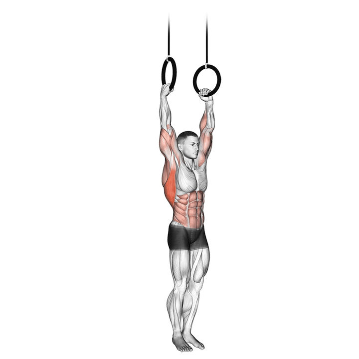 Demonstration of the muscle up