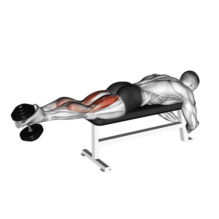 Demonstration of the dumbbell lying femoral