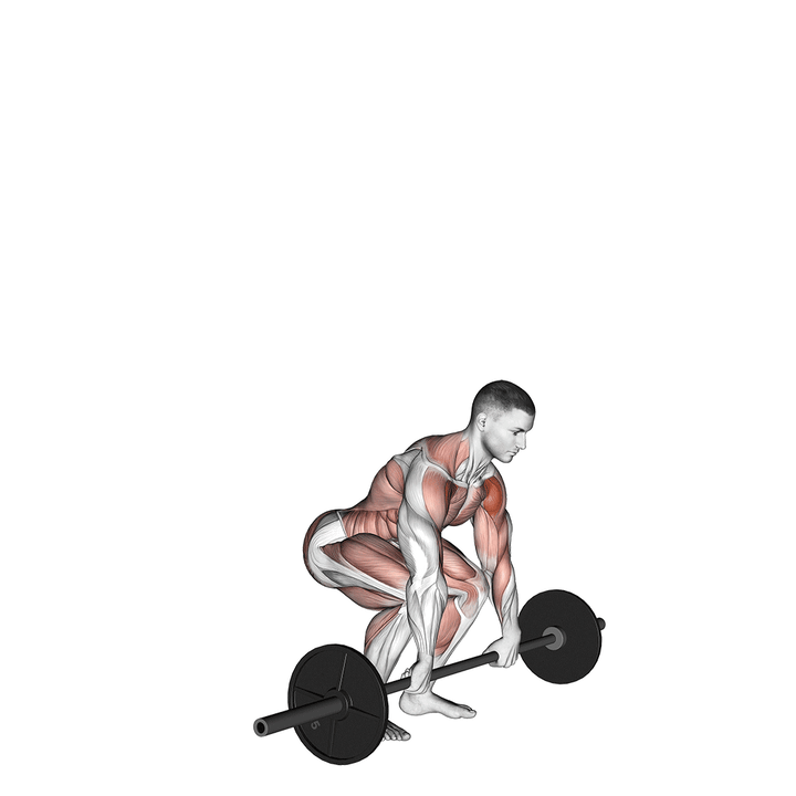 Demonstration of the barbell clean and press