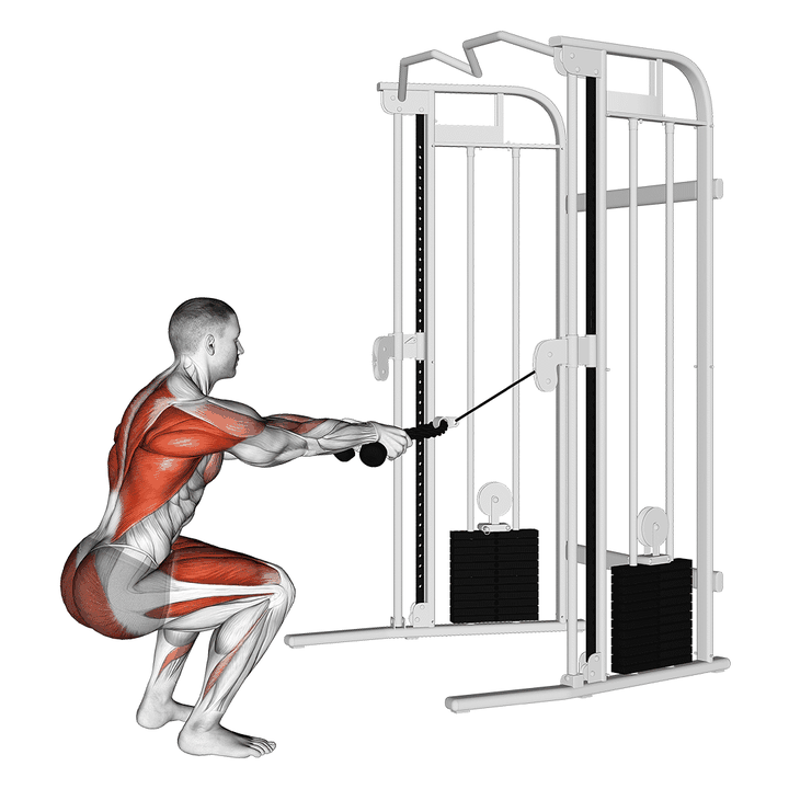 Demonstration of the cable squat row (with rope attachment)