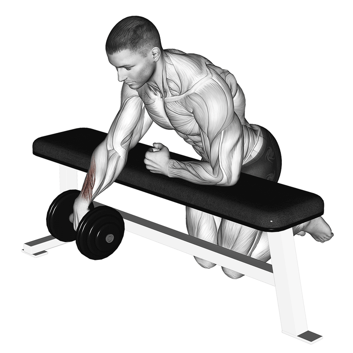 Demonstration of the dumbbell over bench one arm wrist curl