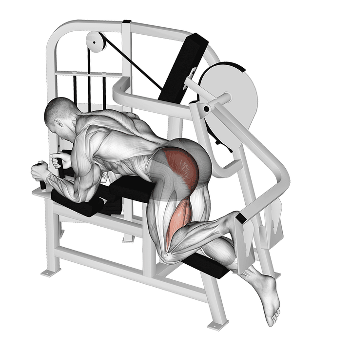 Demonstration of the lever hip extension