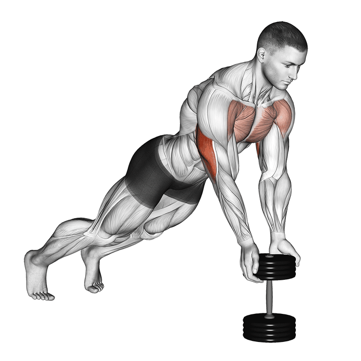 Demonstration of the push-up close-grip off dumbbell