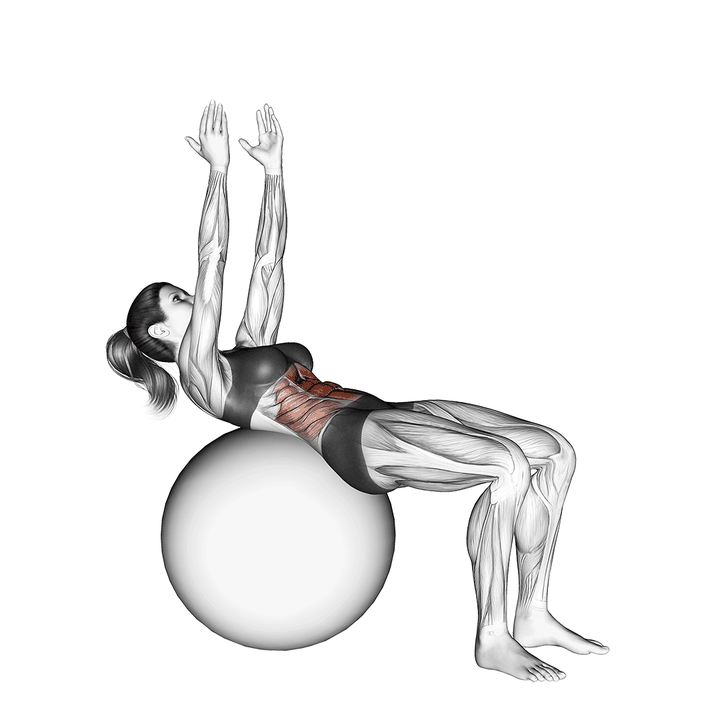 Demonstration of the crunch (on stability ball, arms straight)