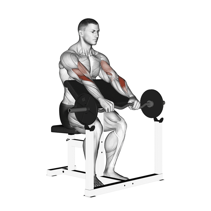 Demonstration of the ez barbell reverse grip preacher curl