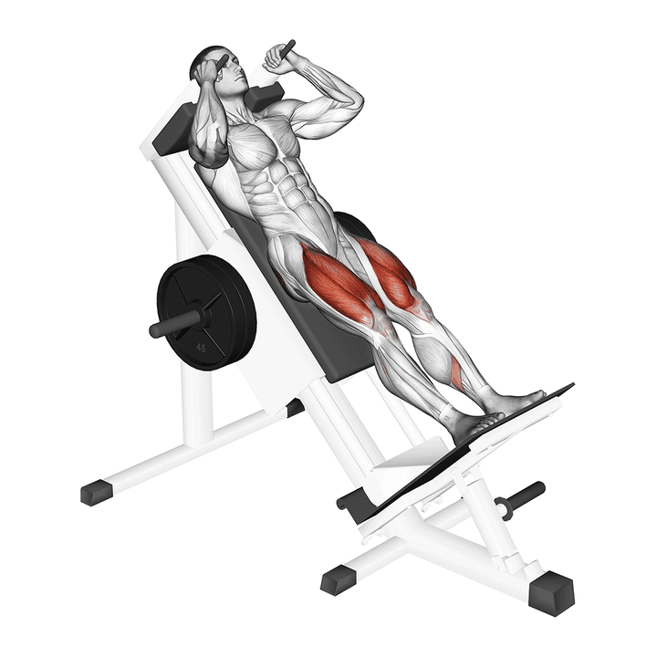 Demonstration of the sled hack squat