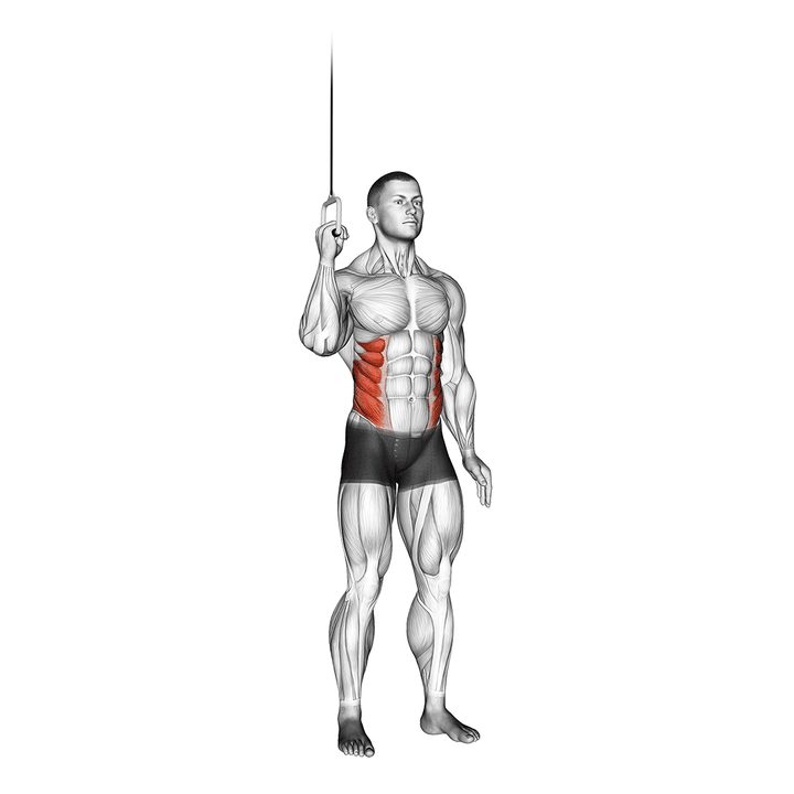 Demonstration of the cable side crunch