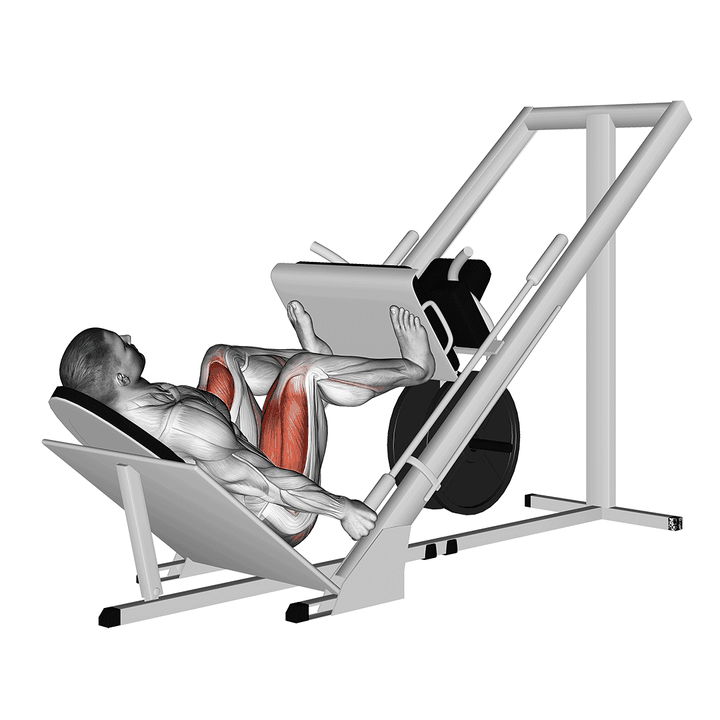 Demonstration of the sled 45ã‚â° leg wide press