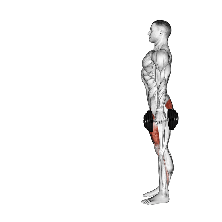 Demonstration of the dumbbell lunge