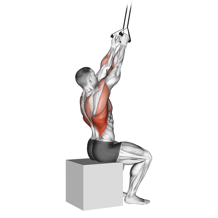 Demonstration of the band fixed back close grip pulldown
