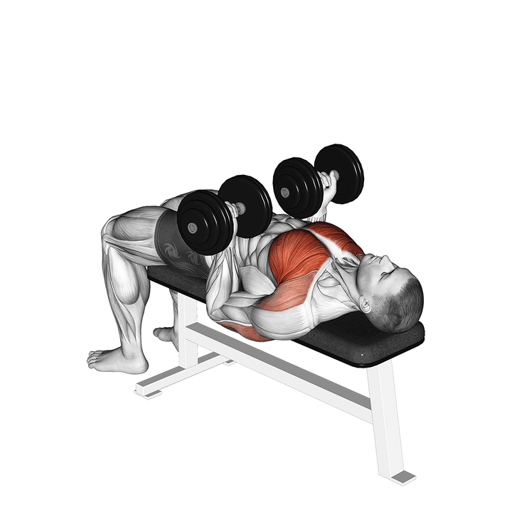 Demonstration of the dumbbell reverse bench press