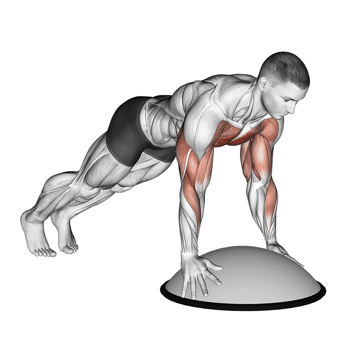 Demonstration of the push up on bosu ball