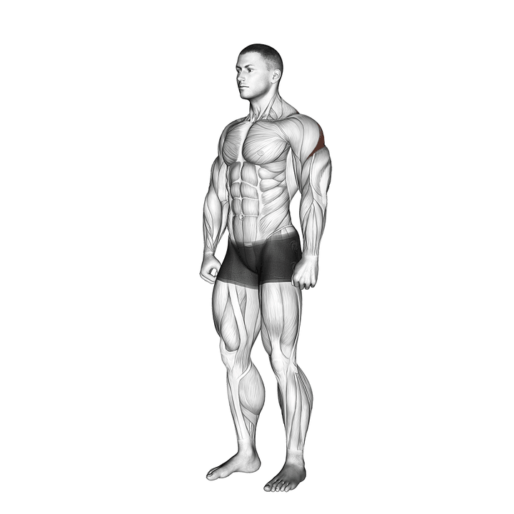 Demonstration of the rear deltoid stretch
