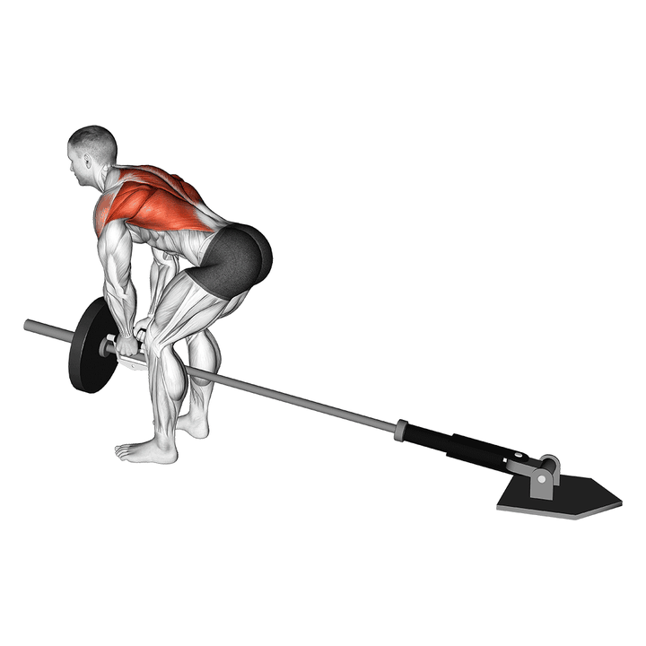 Demonstration of the lever bent-over row with v-bar
