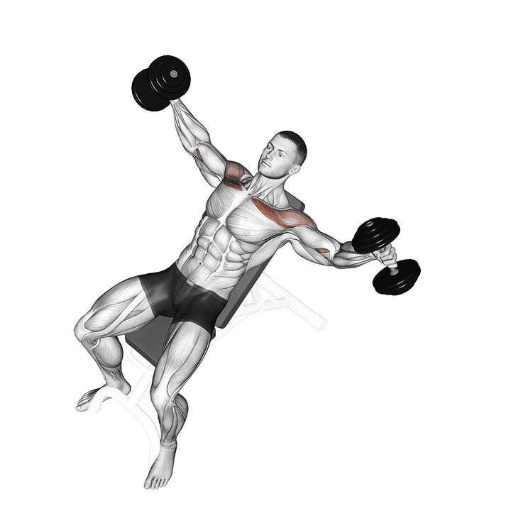 Demonstration of the dumbbell incline breeding - powerful variation