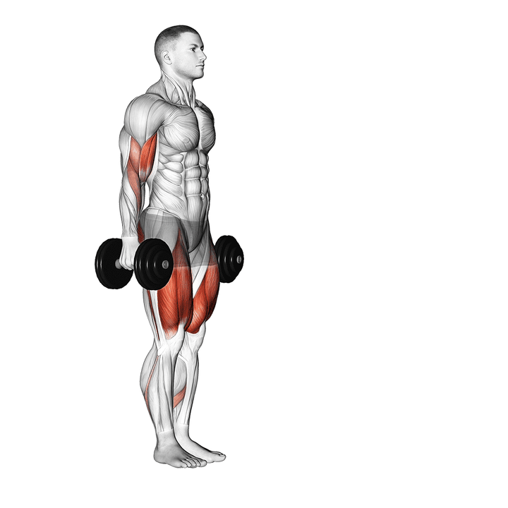 Demonstration of the dumbbell lunge with bicep curl