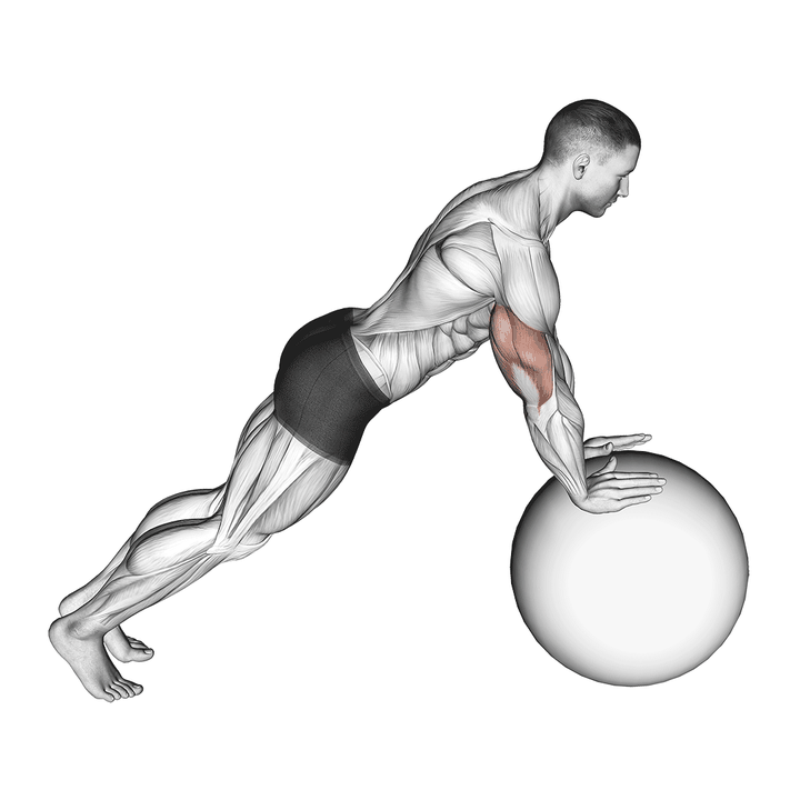 Demonstration of the push-up (on stability ball)
