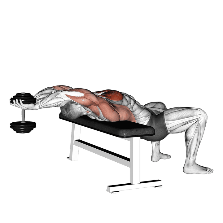 Demonstration of the dumbbell straight arm pullover