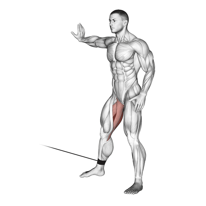 Demonstration of the cable hip adduction
