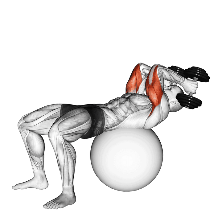 Demonstration of the exercise ball supine triceps extension