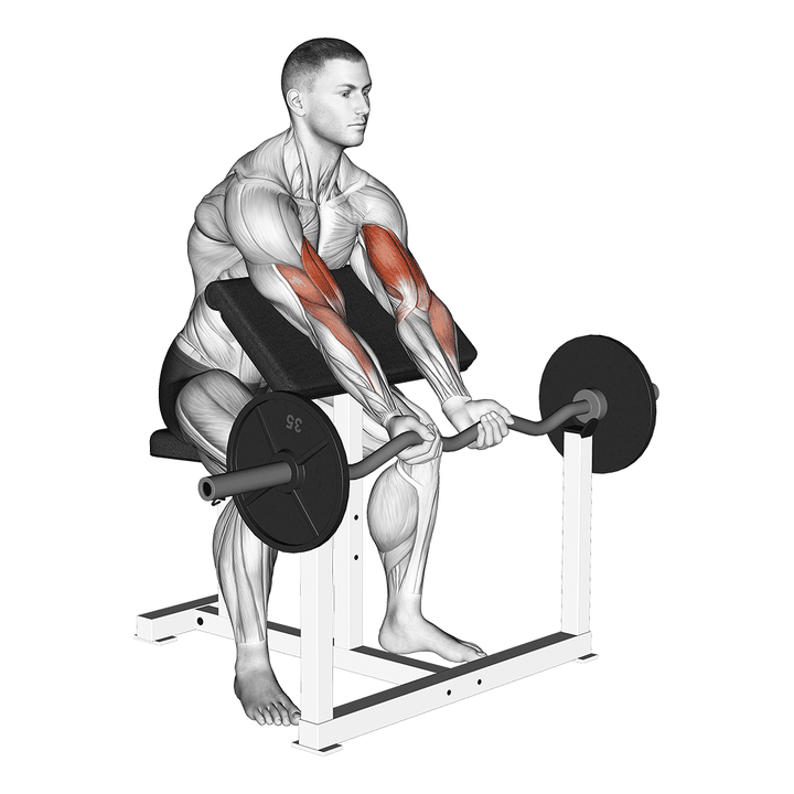 Demonstration of the ez barbell close grip preacher curl