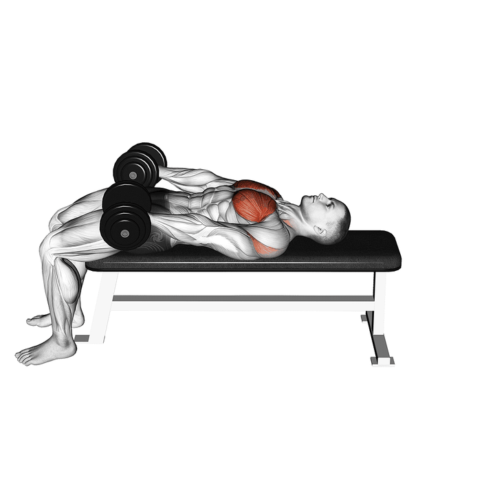 Demonstration of the dumbbell around pullover