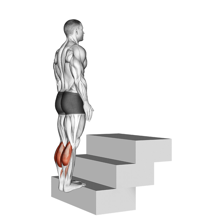 Demonstration of the standing calf raise (on a staircase)