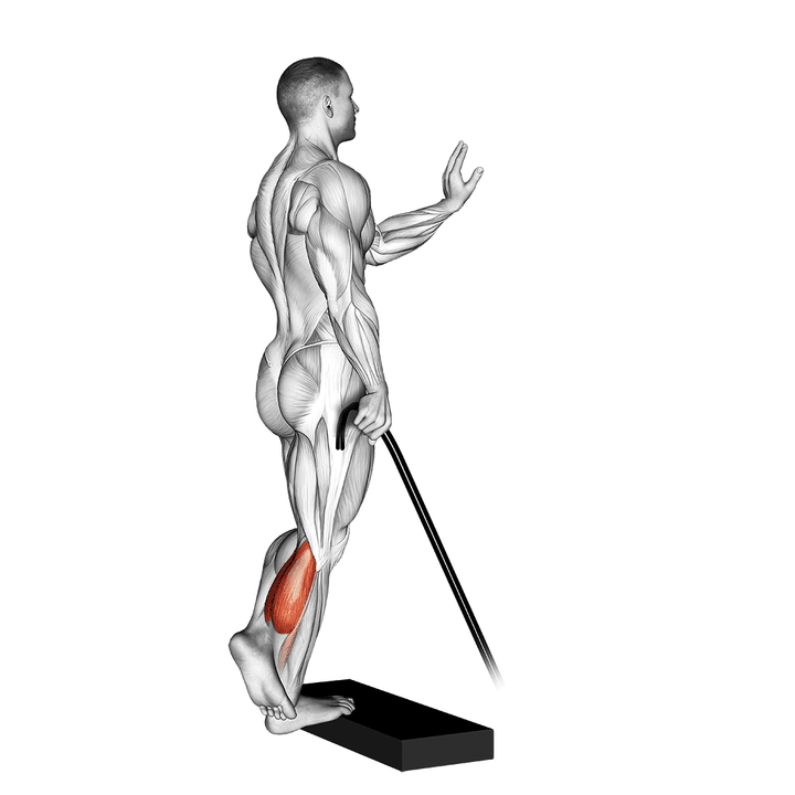 Demonstration of the band single leg calf raise