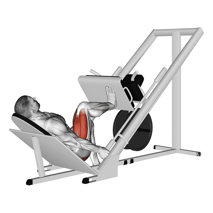 Demonstration of the sled 45 degrees one leg press