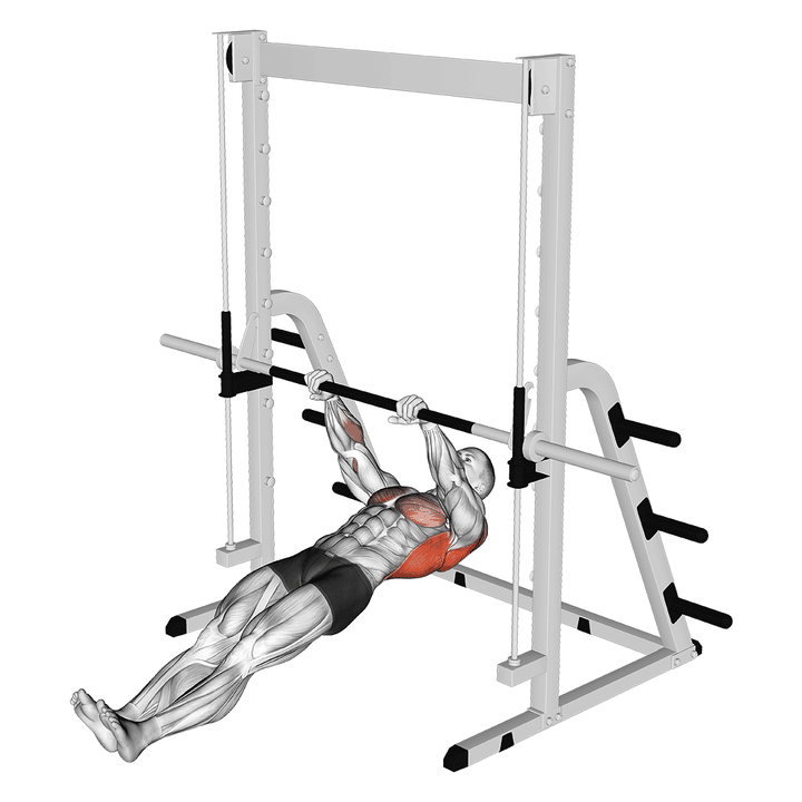 Demonstration of the inverted row
