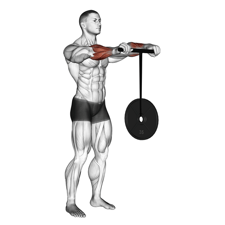 Demonstration of the wrist rollerer