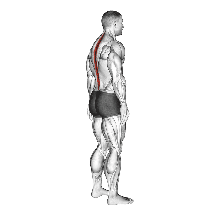 Demonstration of the stability standing pelvic tilt