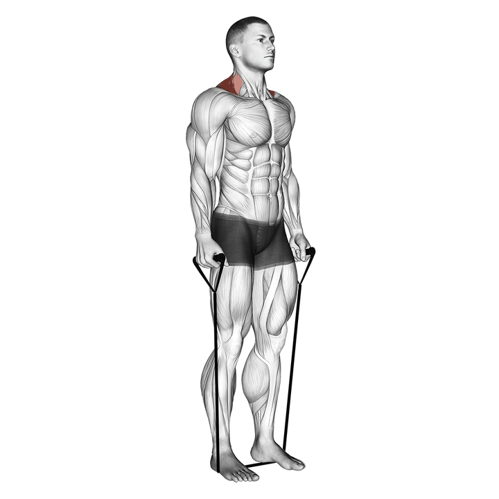 Demonstration of the band shrug - pure variation