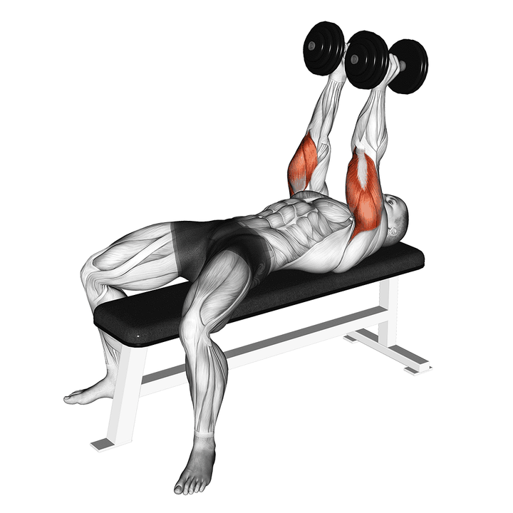 Demonstration of the dumbbell neutral grip bench press