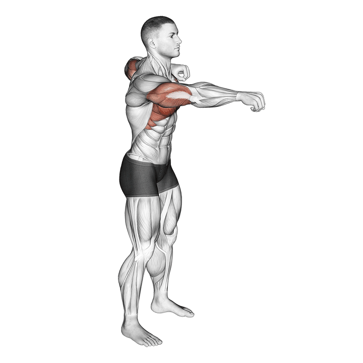 Demonstration of the push and pull bodyweight