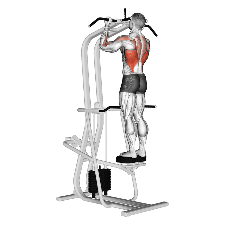 Demonstration of the assisted standing chin-up