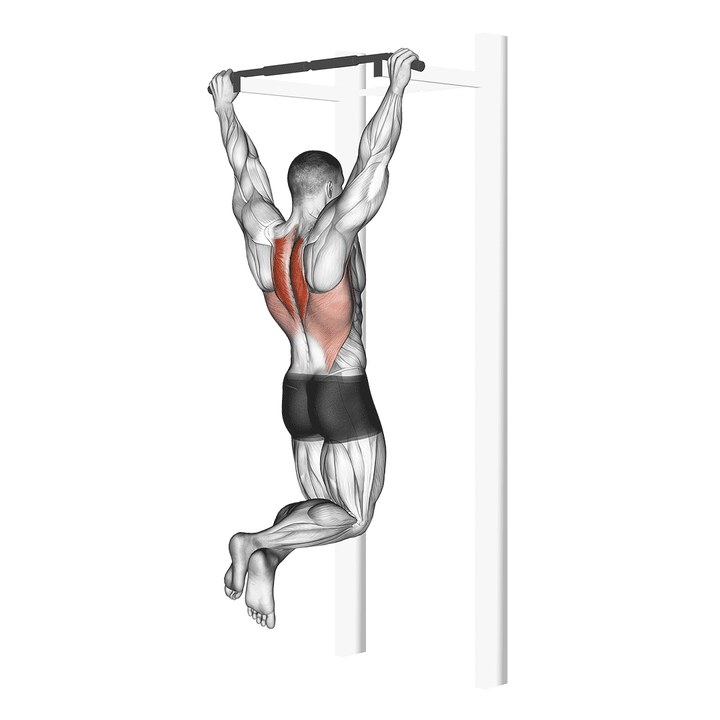 Demonstration of the scapular pull-up bench