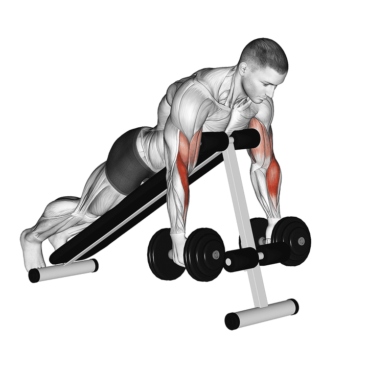 Demonstration of the dumbbell prone incline hammer curl