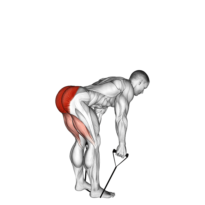 Demonstration of the band straight back stiff leg deadlift