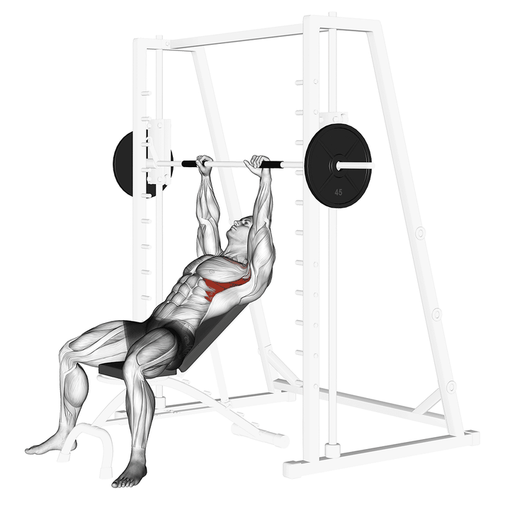 Demonstration of the smith incline shoulder raises