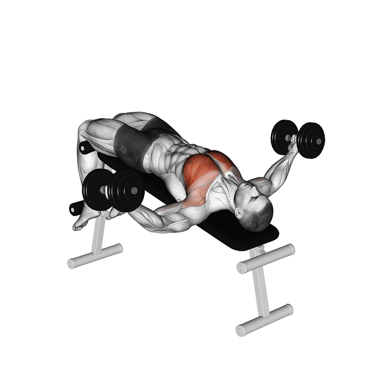 Demonstration of the dumbbell decline fly