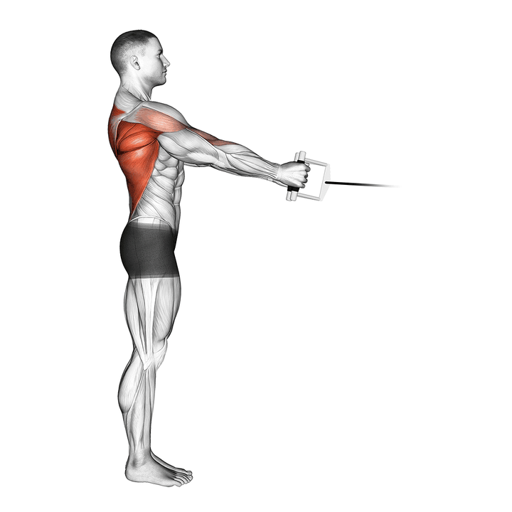 Demonstration of the cable standing row (v-bar)