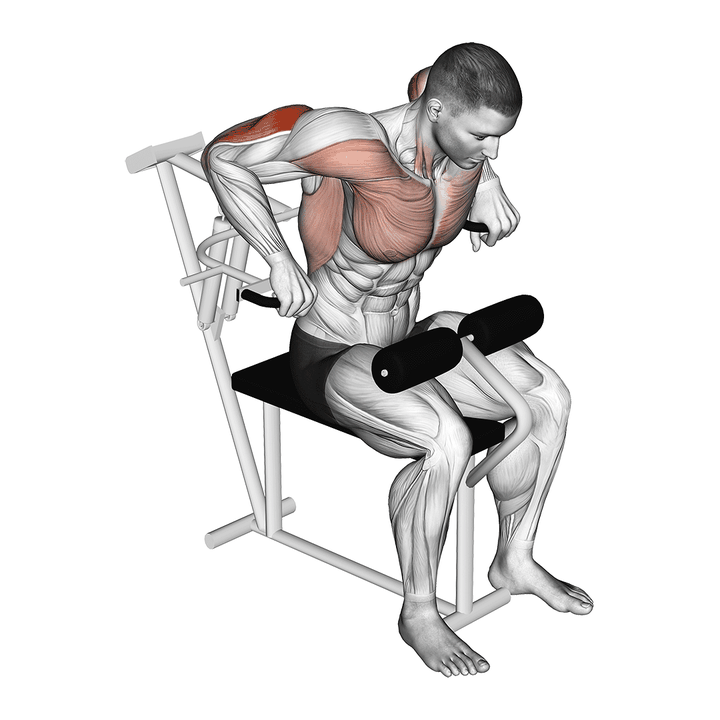 Demonstration of the lever overhand triceps dip