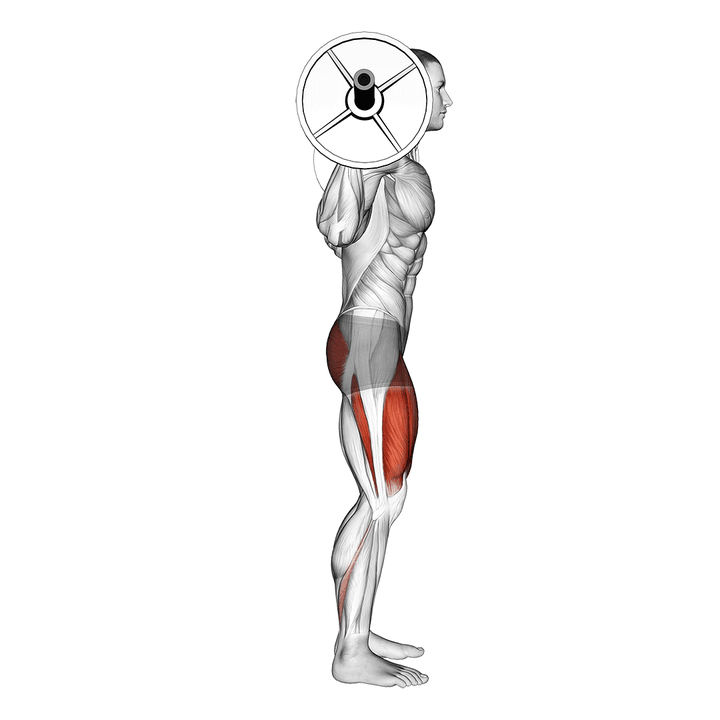 Demonstration of the barbell full squat (side pov)